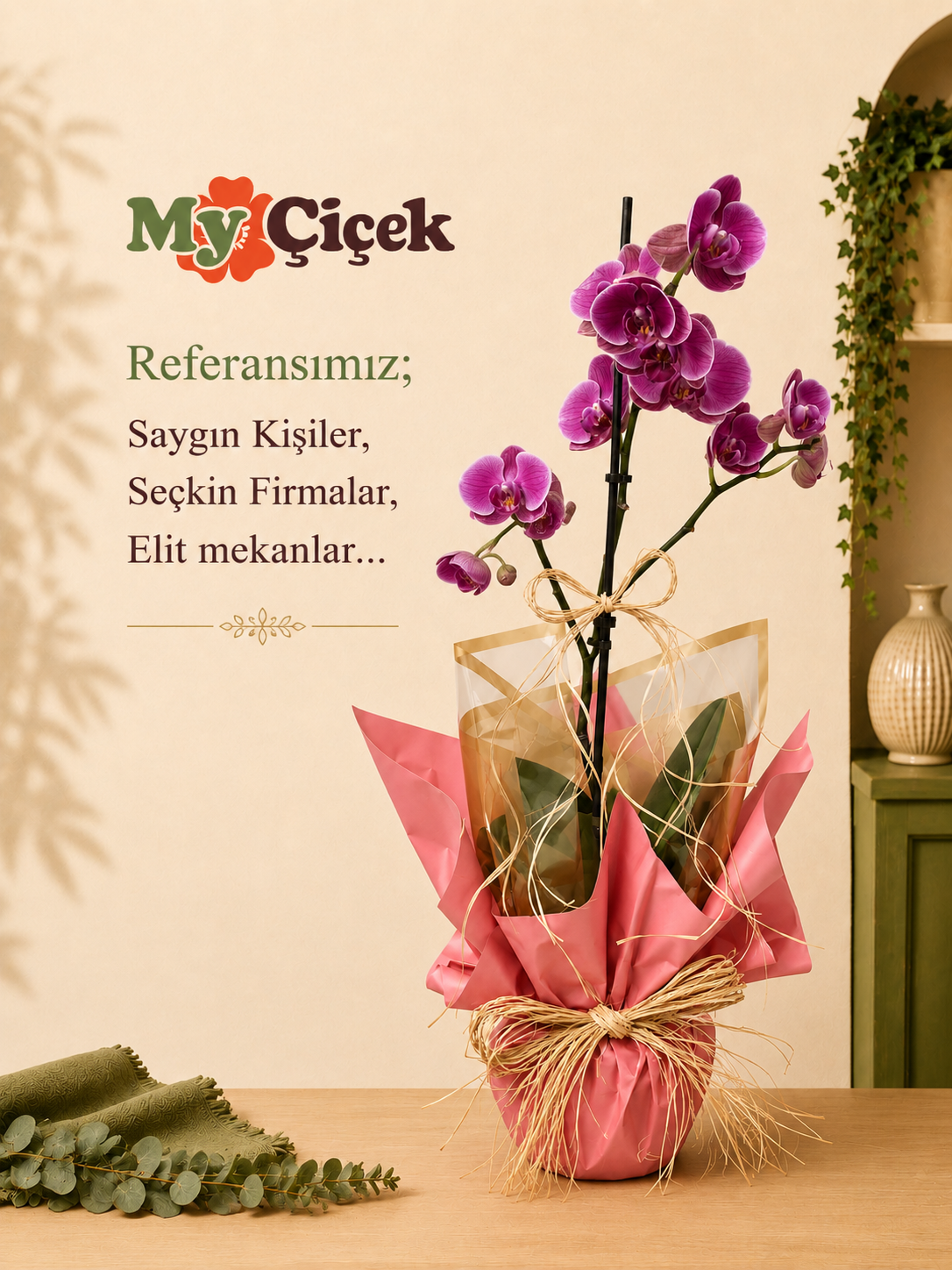 Tek Dallı Orkide
