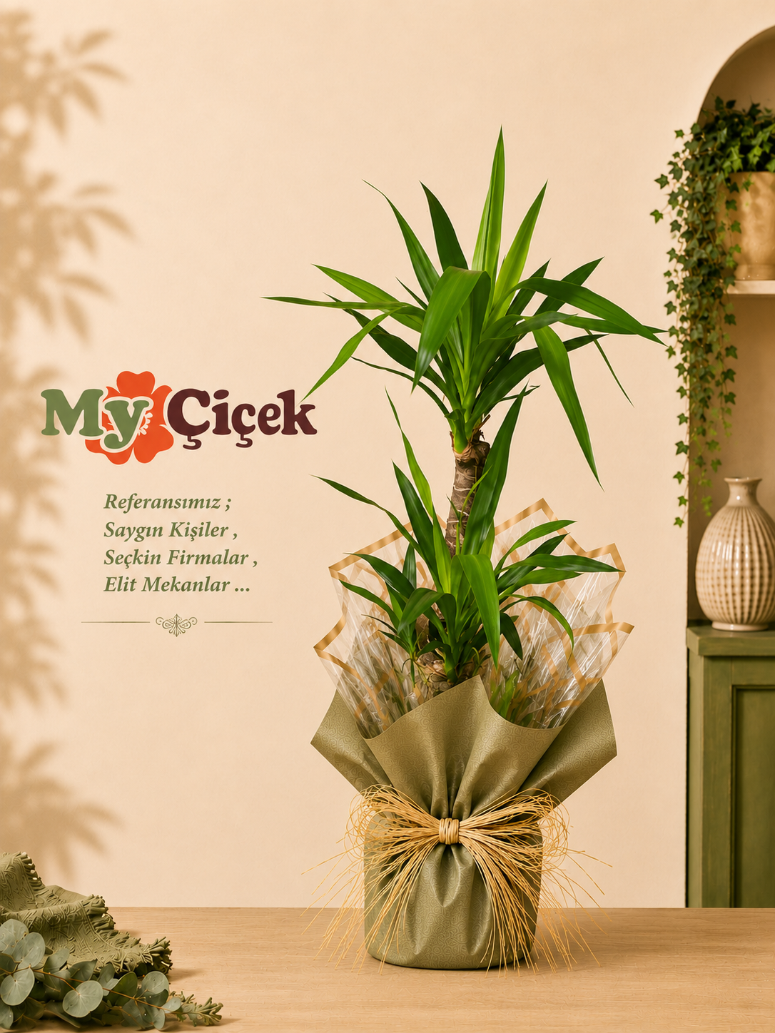 2 Köklü Yucca - Kısa